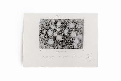 Pétroglyphes