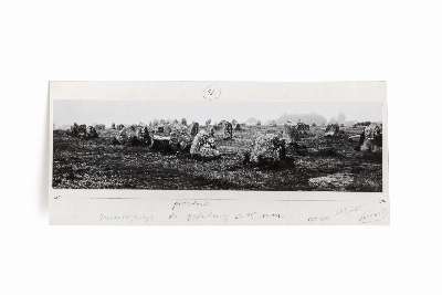 Champ de menhirs
